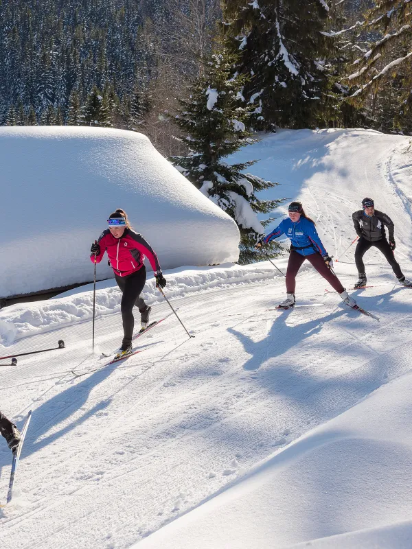 vinter skidor höga kusten hallstaberget