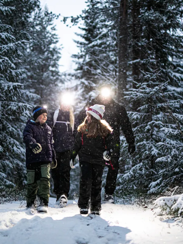 barn som går genom skogen med pannlampor
