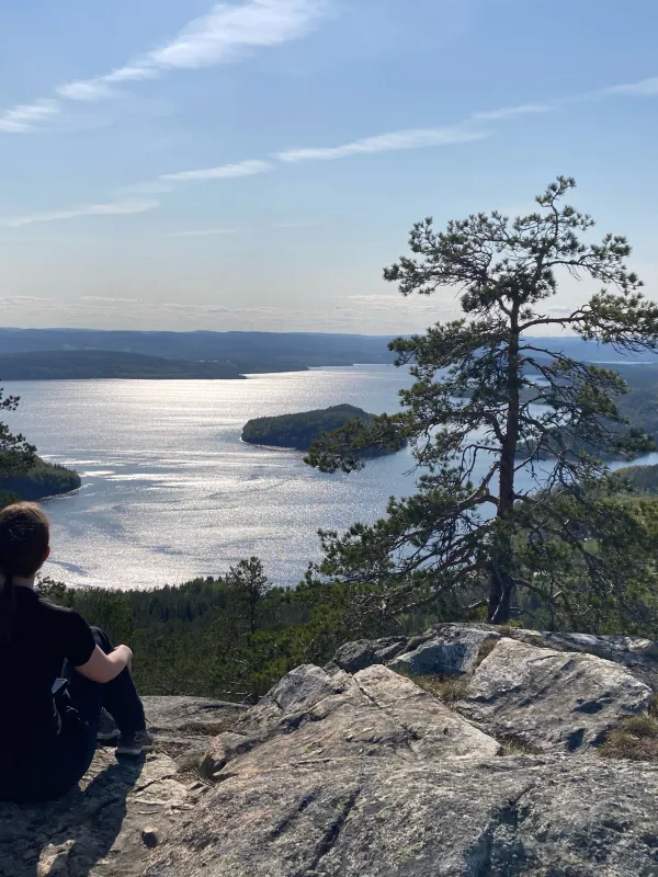 utsikt valkallen