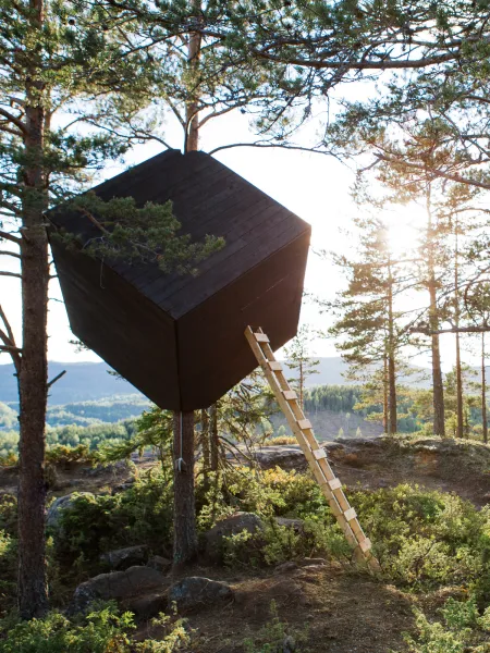 arknat höga kusten