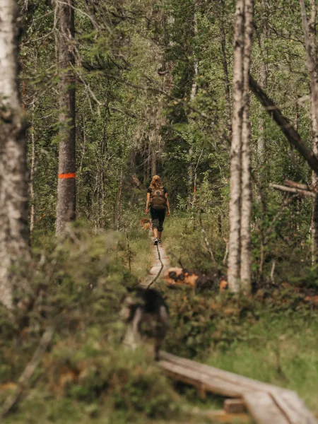 person vandrar i skogen