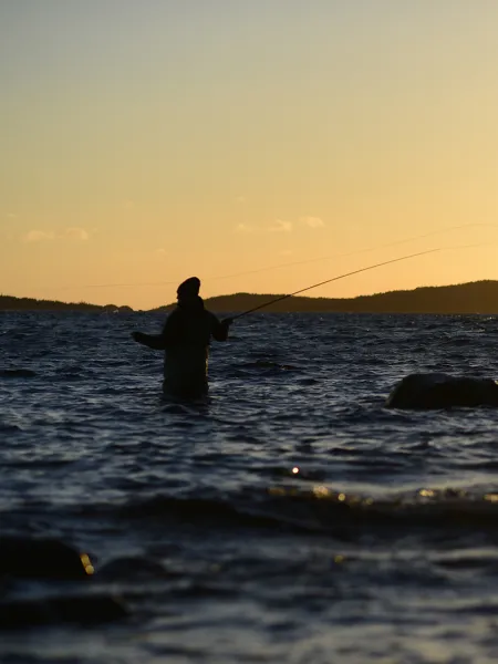 havsfiske skymning