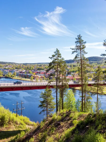 Vandring på niporna i Sollefteå