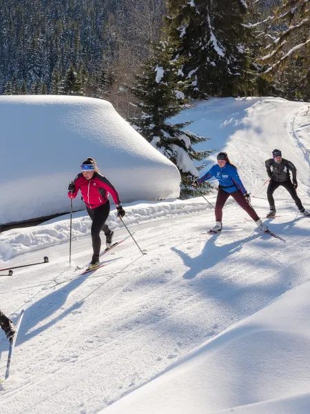 skidor längdskidor vinter höga kusten