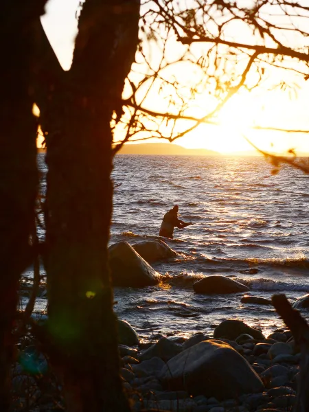 Havsöringsfiske höga kusten skymning