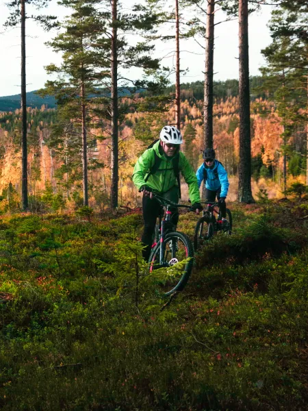 Cykling i Höga Kusten cykla mountainbike landsvägscykling racer