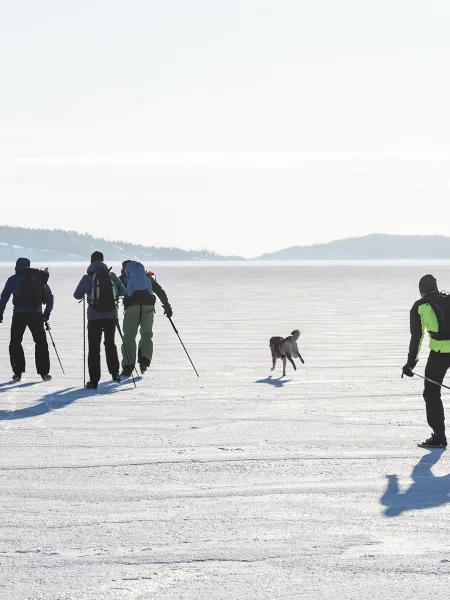 Utförsåkning i Sollefteå Hallstaberget Höga Kusten