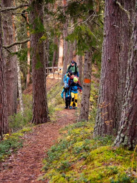 Vandring med barn på Nipleden